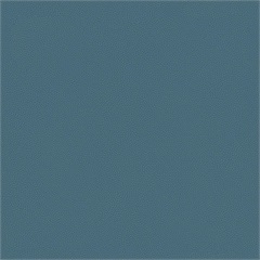 SPLASH BLUEGRASS
